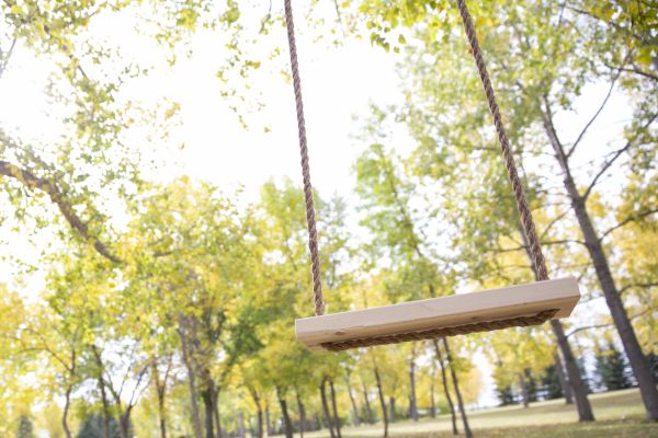 Tree Swing Installation in Salt Lake City