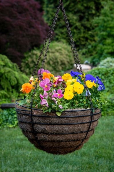 Hanging Basket Installation in Salt Lake City