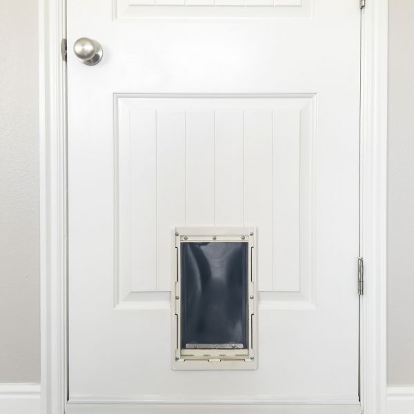 Pet Door Repair in Salt Lake City