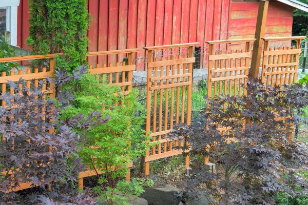 Wood Trellis Mounting in Salt Lake City